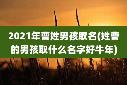 2021年曹姓男孩取名(姓曹的男孩取什么名字好牛年)