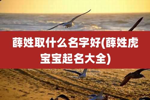 薛姓取什么名字好(薛姓虎宝宝起名大全)