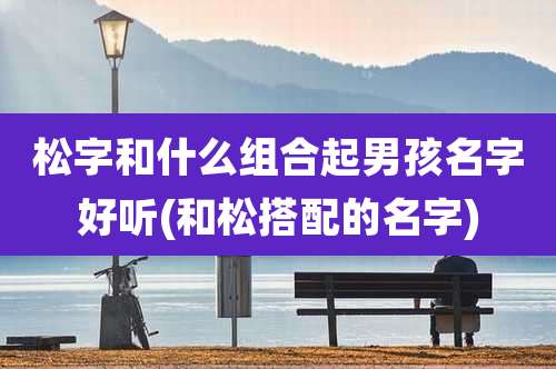 松字和什么组合起男孩名字好听(和松搭配的名字)