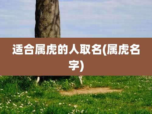 适合属虎的人取名(属虎名字)