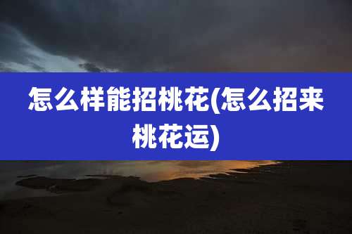 怎么样能招桃花(怎么招来桃花运)