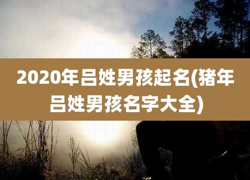 2020年吕姓男孩起名(猪年吕姓男孩名字大全)