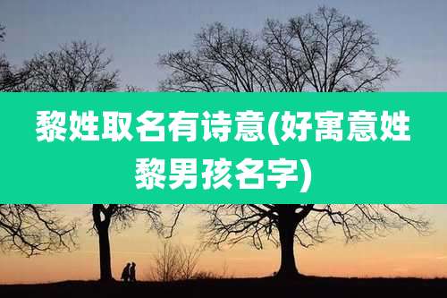 黎姓取名有诗意(好寓意姓黎男孩名字)