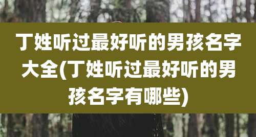 丁姓听过最好听的男孩名字大全(丁姓听过最好听的男孩名字有哪些)