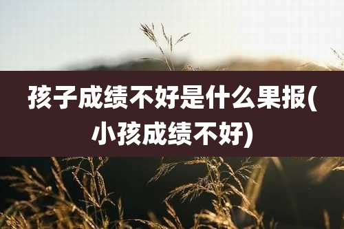 孩子成绩不好是什么果报(小孩成绩不好)