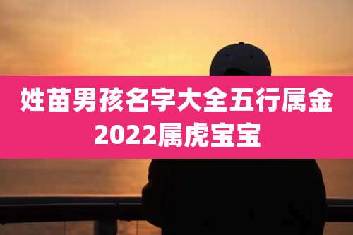 姓苗男孩名字大全五行属金2022属虎宝宝