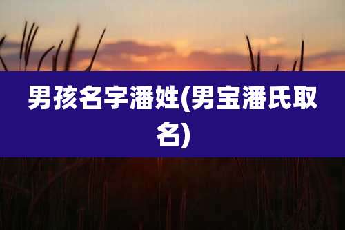 男孩名字潘姓(男宝潘氏取名)