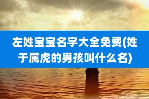 左姓宝宝名字大全免费(姓于属虎的男孩叫什么名)