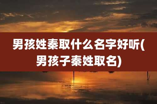 男孩姓秦取什么名字好听(男孩子秦姓取名)