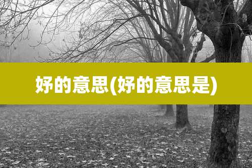 妤的意思(妤的意思是)