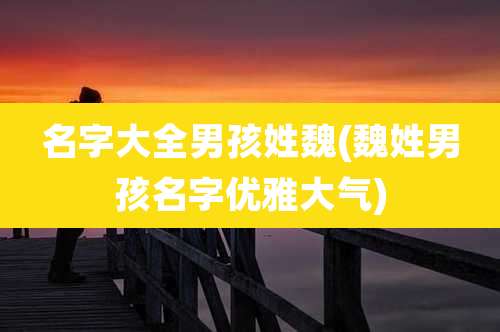 名字大全男孩姓魏(魏姓男孩名字优雅大气)