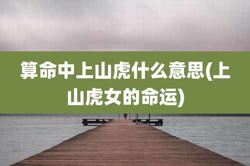 算命中上山虎什么意思(上山虎女的命运)