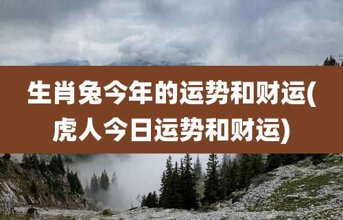 生肖兔今年的运势和财运(虎人今日运势和财运)