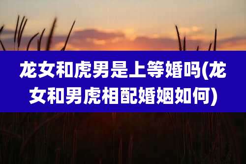 龙女和虎男是上等婚吗(龙女和男虎相配婚姻如何)