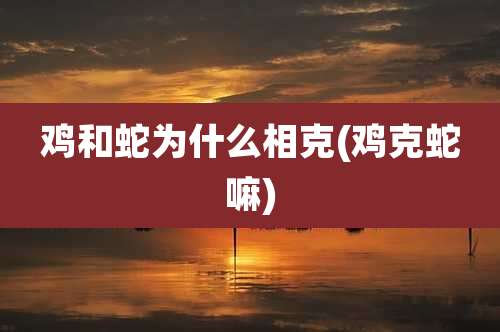 鸡和蛇为什么相克(鸡克蛇嘛)