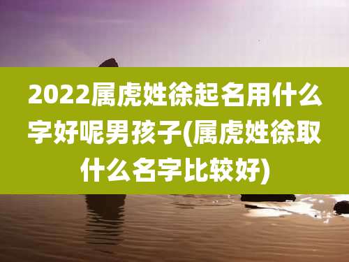 2022属虎姓徐起名用什么字好呢男孩子(属虎姓徐取什么名字比较好)