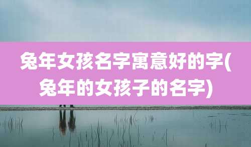 兔年女孩名字寓意好的字(兔年的女孩子的名字)
