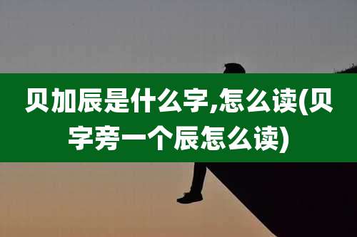 贝加辰是什么字,怎么读(贝字旁一个辰怎么读)