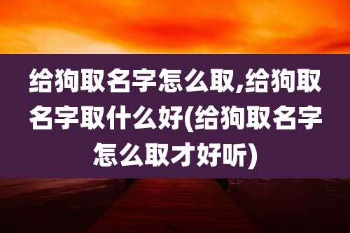 给狗取名字怎么取,给狗取名字取什么好(给狗取名字怎么取才好听)