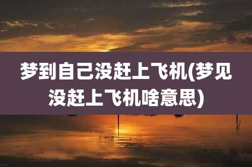梦到自己没赶上飞机(梦见没赶上飞机啥意思)