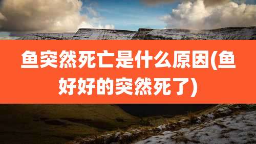 鱼突然死亡是什么原因(鱼好好的突然死了)