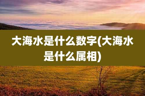 大海水是什么数字(大海水是什么属相)