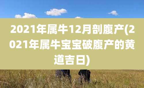 2021年属牛12月剖腹产(2021年属牛宝宝破腹产的黄道吉日)