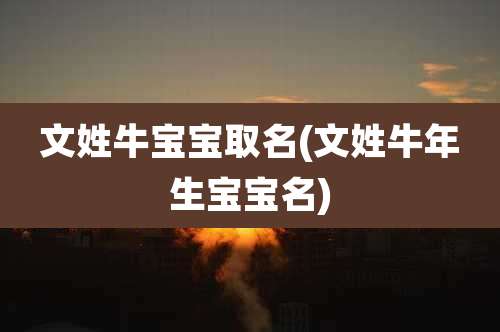 文姓牛宝宝取名(文姓牛年生宝宝名)