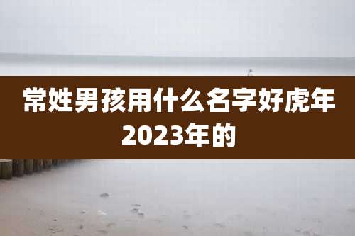 常姓男孩用什么名字好虎年2023年的