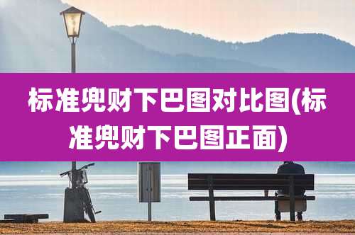 标准兜财下巴图对比图(标准兜财下巴图正面)