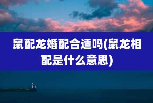 鼠配龙婚配合适吗(鼠龙相配是什么意思)