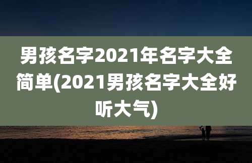 男孩名字2021年名字大全简单(2021男孩名字大全好听大气)