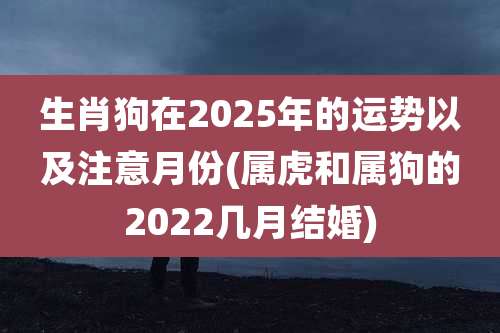 生肖狗在2025年的运势以及注意月份(属虎和属狗的2022几月结婚)