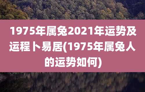 1975年属兔2021年运势及运程卜易居(1975年属兔人的运势如何)