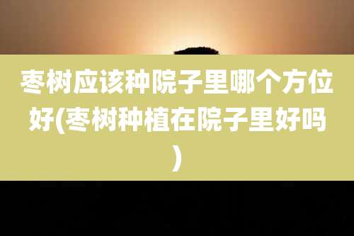 枣树应该种院子里哪个方位好(枣树种植在院子里好吗)