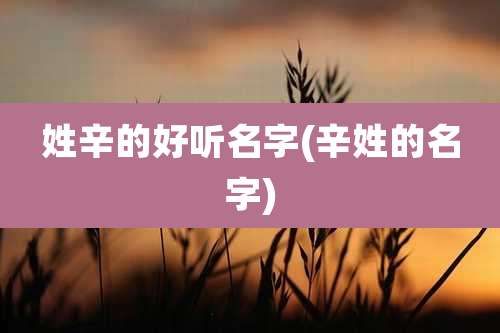 姓辛的好听名字(辛姓的名字)