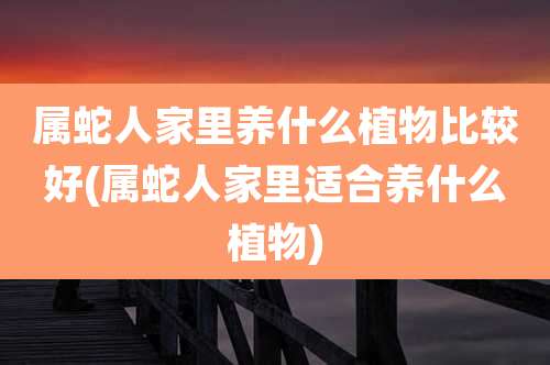 属蛇人家里养什么植物比较好(属蛇人家里适合养什么植物)