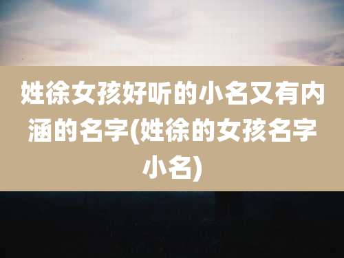 姓徐女孩好听的小名又有内涵的名字(姓徐的女孩名字小名)