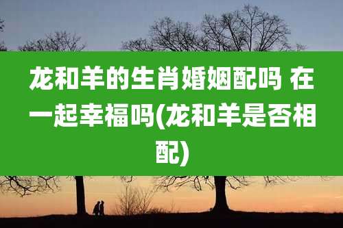 龙和羊的生肖婚姻配吗 在一起幸福吗(龙和羊是否相配)
