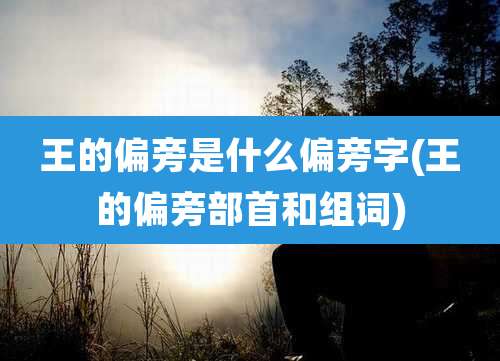 王的偏旁是什么偏旁字(王的偏旁部首和组词)