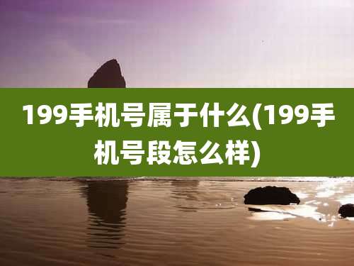 199手机号属于什么(199手机号段怎么样)