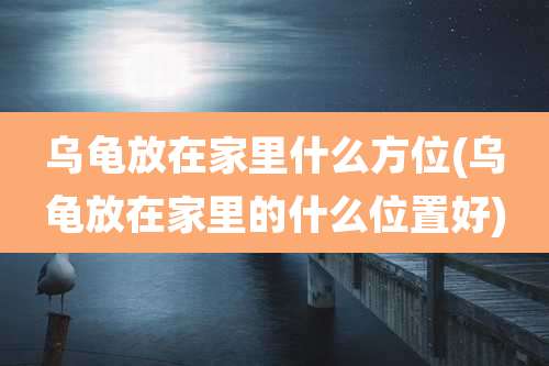 乌龟放在家里什么方位(乌龟放在家里的什么位置好)