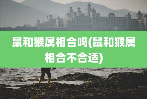 鼠和猴属相合吗(鼠和猴属相合不合适)