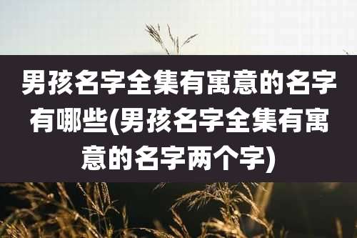男孩名字全集有寓意的名字有哪些(男孩名字全集有寓意的名字两个字)