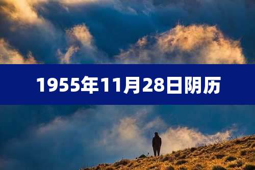 1955年11月28日阴历