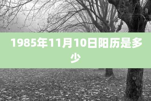 1985年11月10日阳历是多少