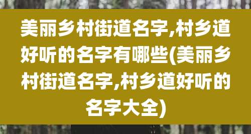 美丽乡村街道名字,村乡道好听的名字有哪些(美丽乡村街道名字,村乡道好听的名字大全)