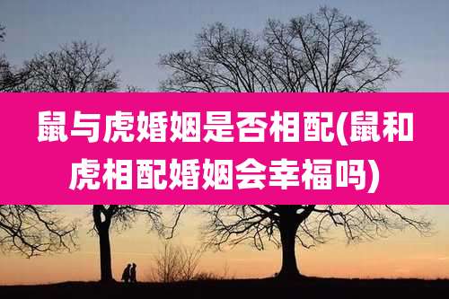 鼠与虎婚姻是否相配(鼠和虎相配婚姻会幸福吗)