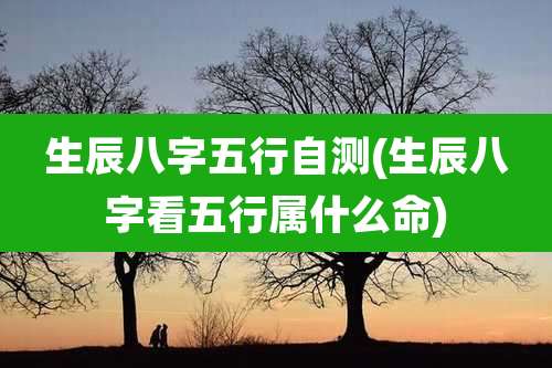生辰八字五行自测(生辰八字看五行属什么命)