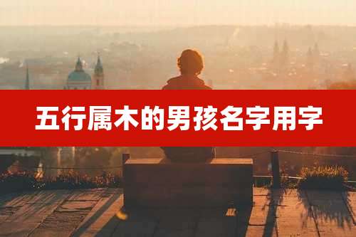 五行属木的男孩名字用字